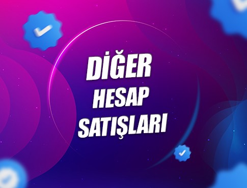 Diğer Hesap Satışları
